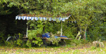 44 Sportveldweg
